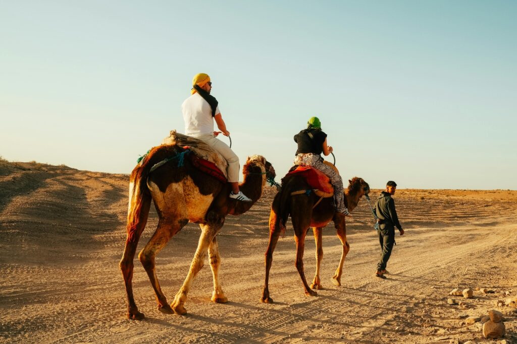 Camel Ride in Marrakech Palmeries