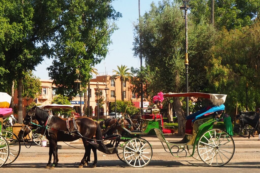 Horse Carriage Ride in Marrakech carroussel photo 1
