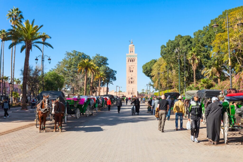 Horse Carriage Ride in Marrakech carroussel photo 3