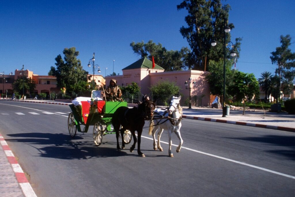 Horse Carriage Ride in Marrakech carroussel photo 4