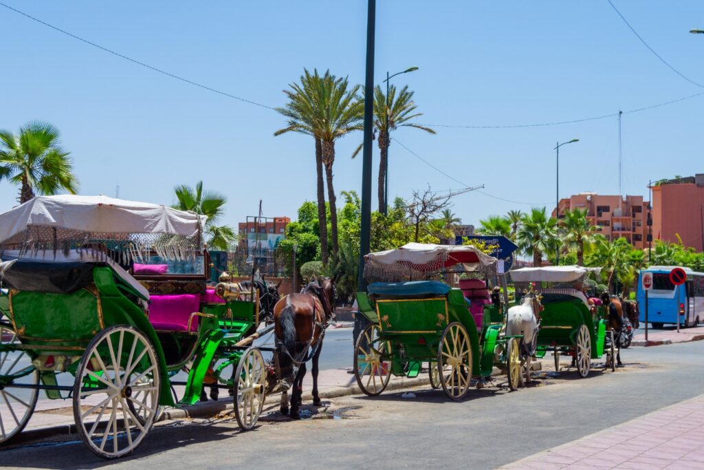 Horse Carriage Ride in Marrakech carroussel photo 6