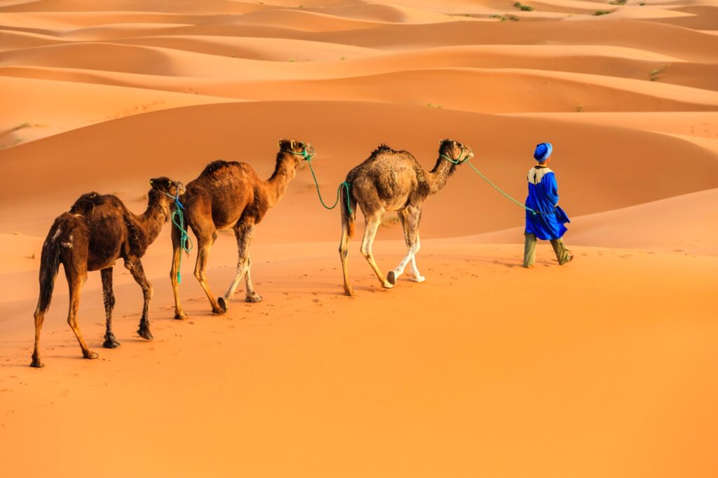 desert tour Morocco