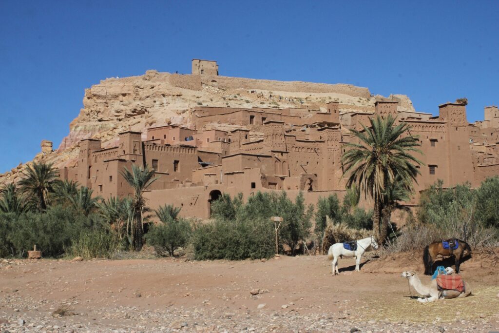 sashared-desert-trip-from-marrakech4