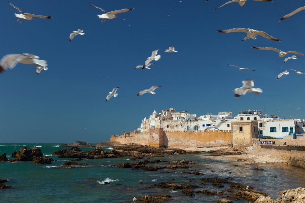 Marrakech to Essaouira and Agadir tour