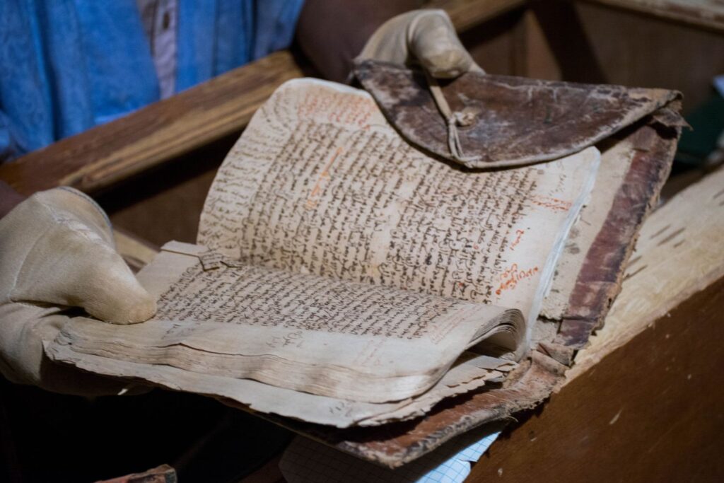 web development (12)